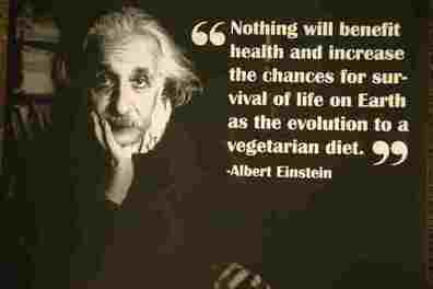 Famous Vegetarians Quotes